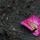 Image for article titled Americans Gon' Wild: Gonorrhea and Syphilis at Record Highs in 2020